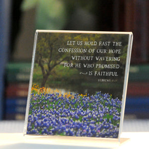 Bluebonnet Byway (Hebrews 10:23) - Framed Mini Print