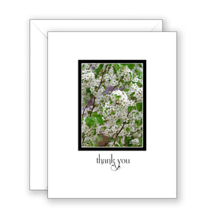 Bradbury Bradford Pear - Thank You Card