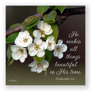 Bradford Pear (Ecclesiastes 3:11) - Mini Print