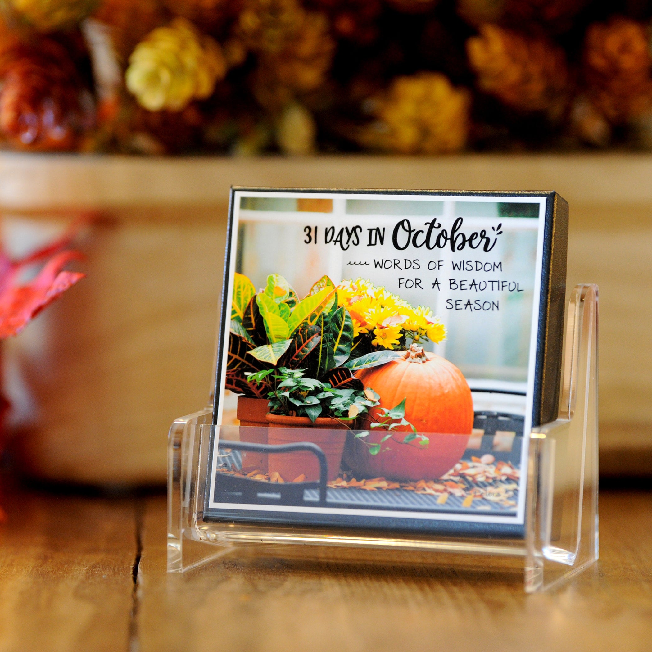 31 Days in October Boxed Mini Print Collection with Acrylic Holder