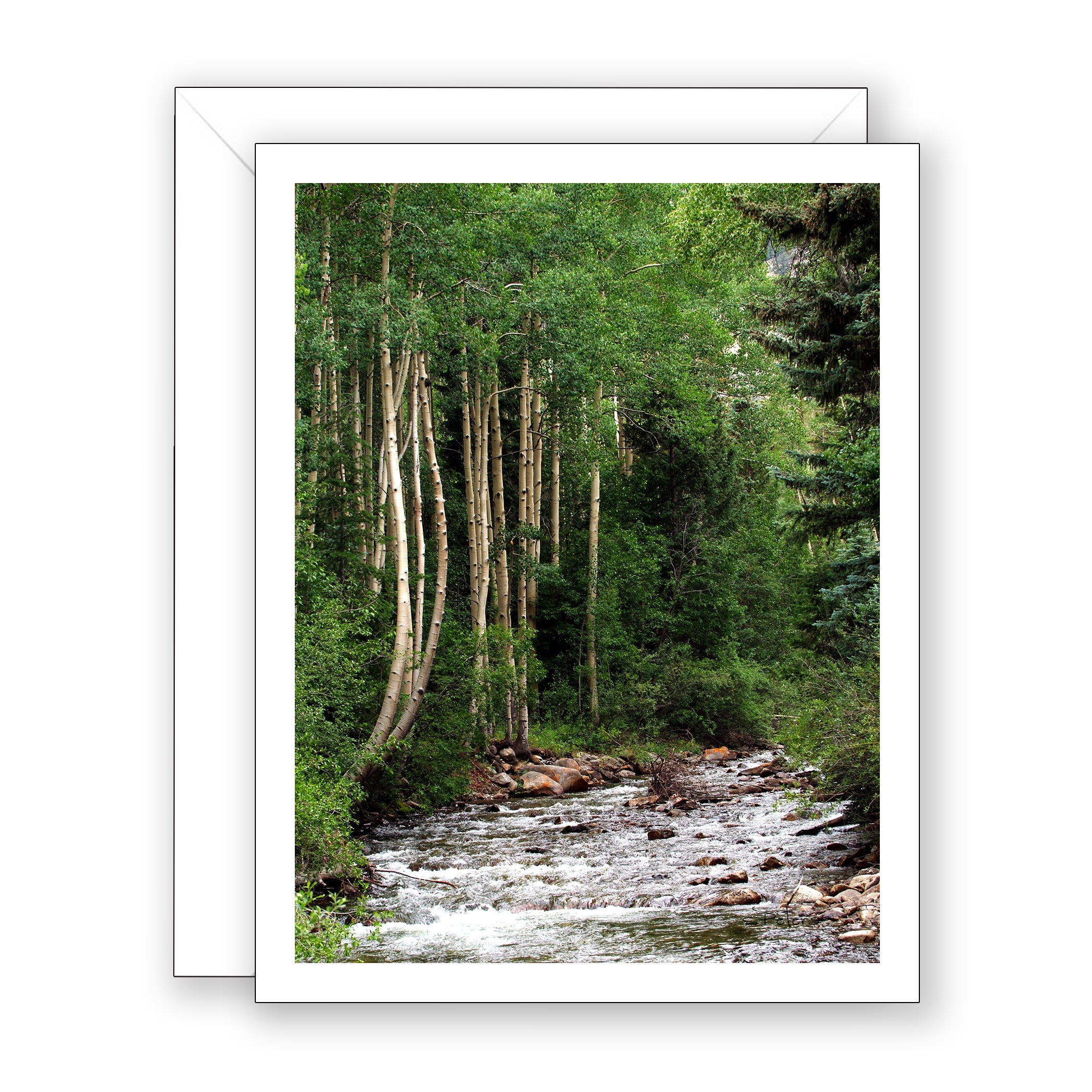 Chalk Creek Notecard - Blank Art Card