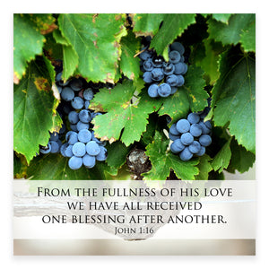 Chateau Harvest (John 1:16) - Frameable Print