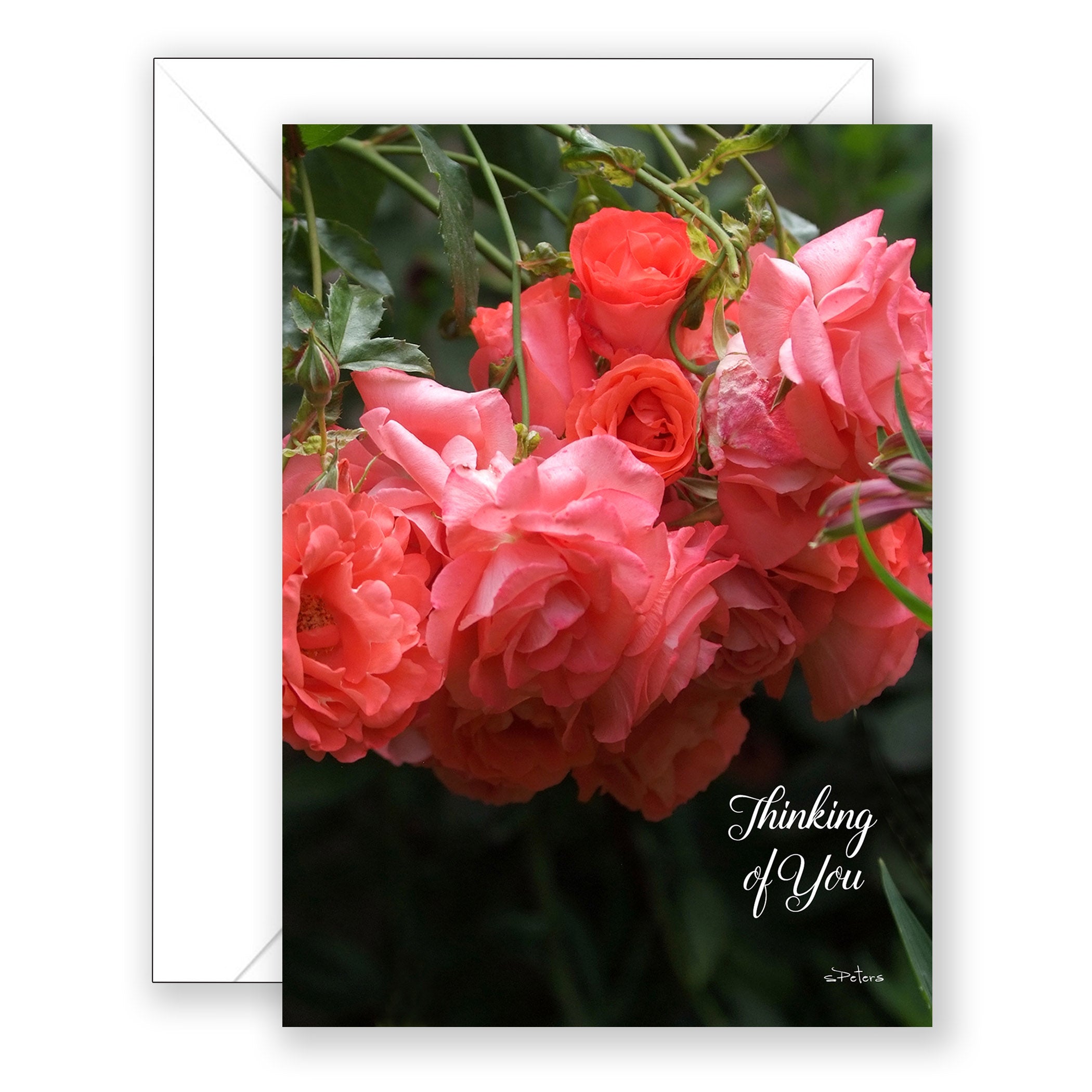 Coral Cascade - Sympathy Card