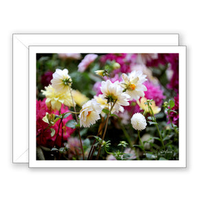 Dancing Dahlias - Blank Art Card