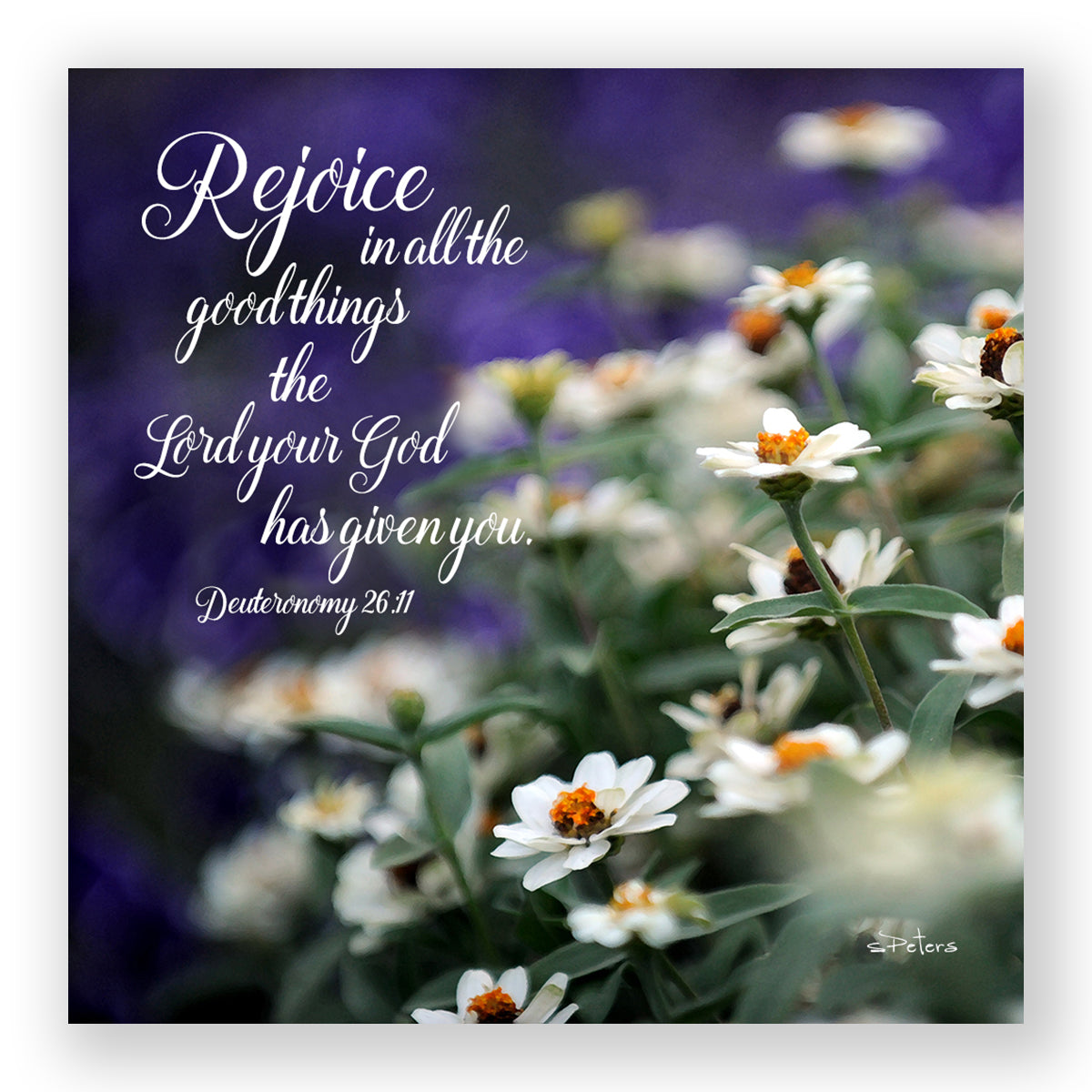 Denver Daisies (Deuteronomy 26:11) - Frameable Print