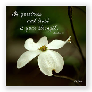 Dogwood (Isaiah 30:15) - Frameable Print