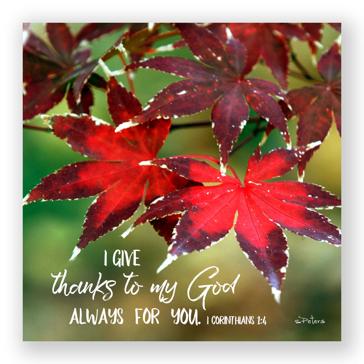Autumn Color (I Corinthians 1:4) - Mini Print