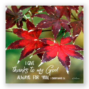 Autumn Color (I Corinthians 1:4) - Mini Print