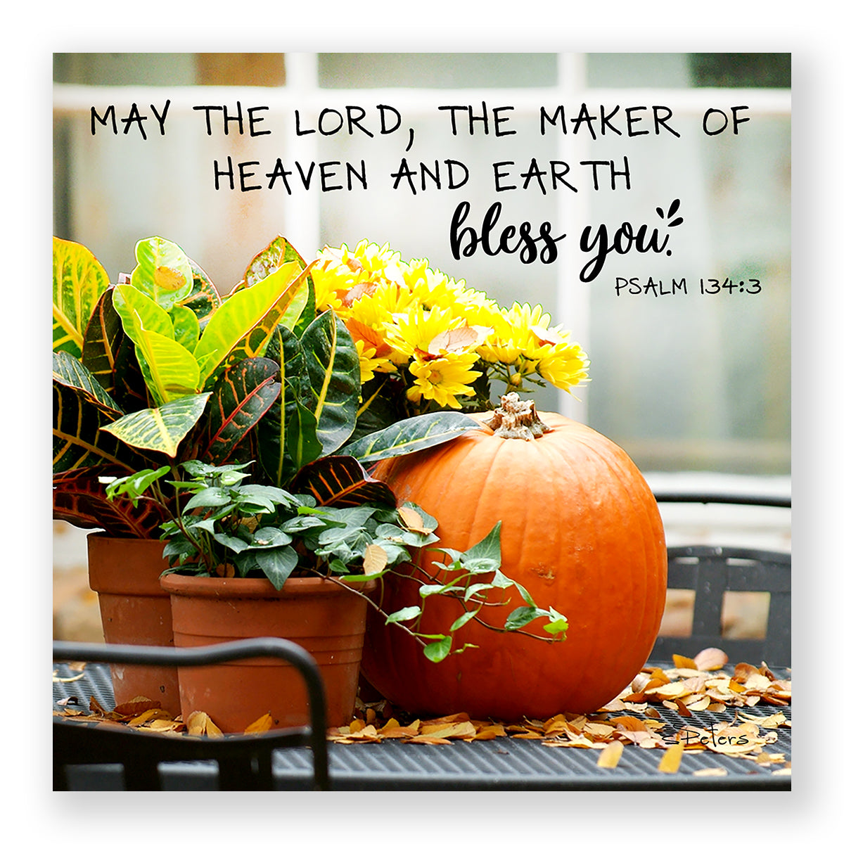 Crotons and Mums (Psalm 134:3) - Mini Print