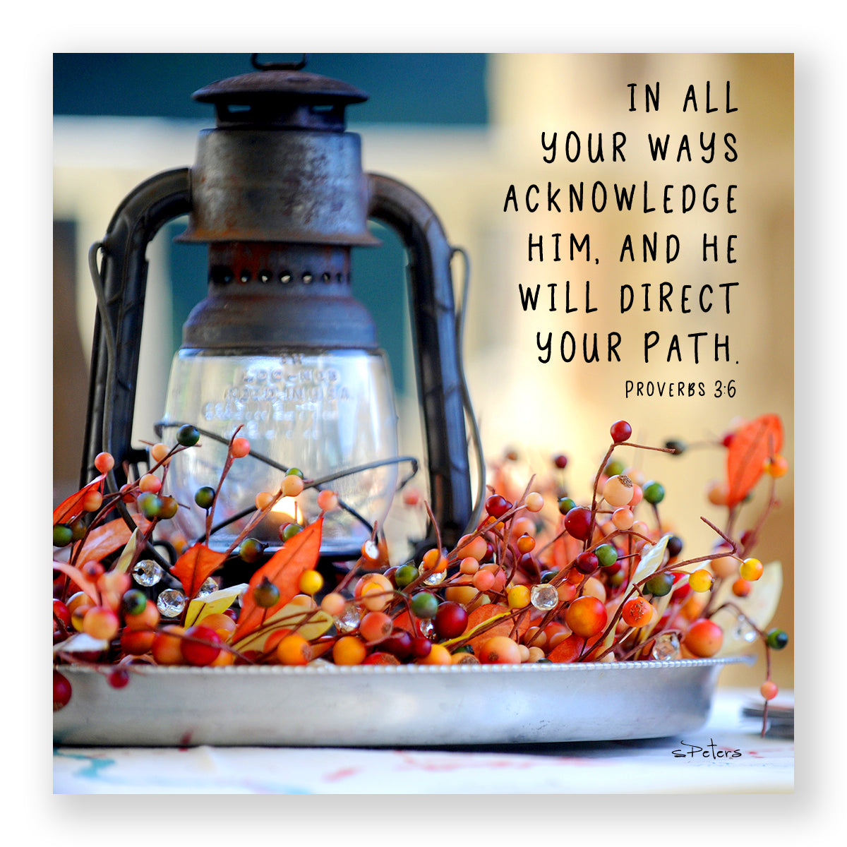 Orange Berry Light (Proverbs 3:6) - Mini Print