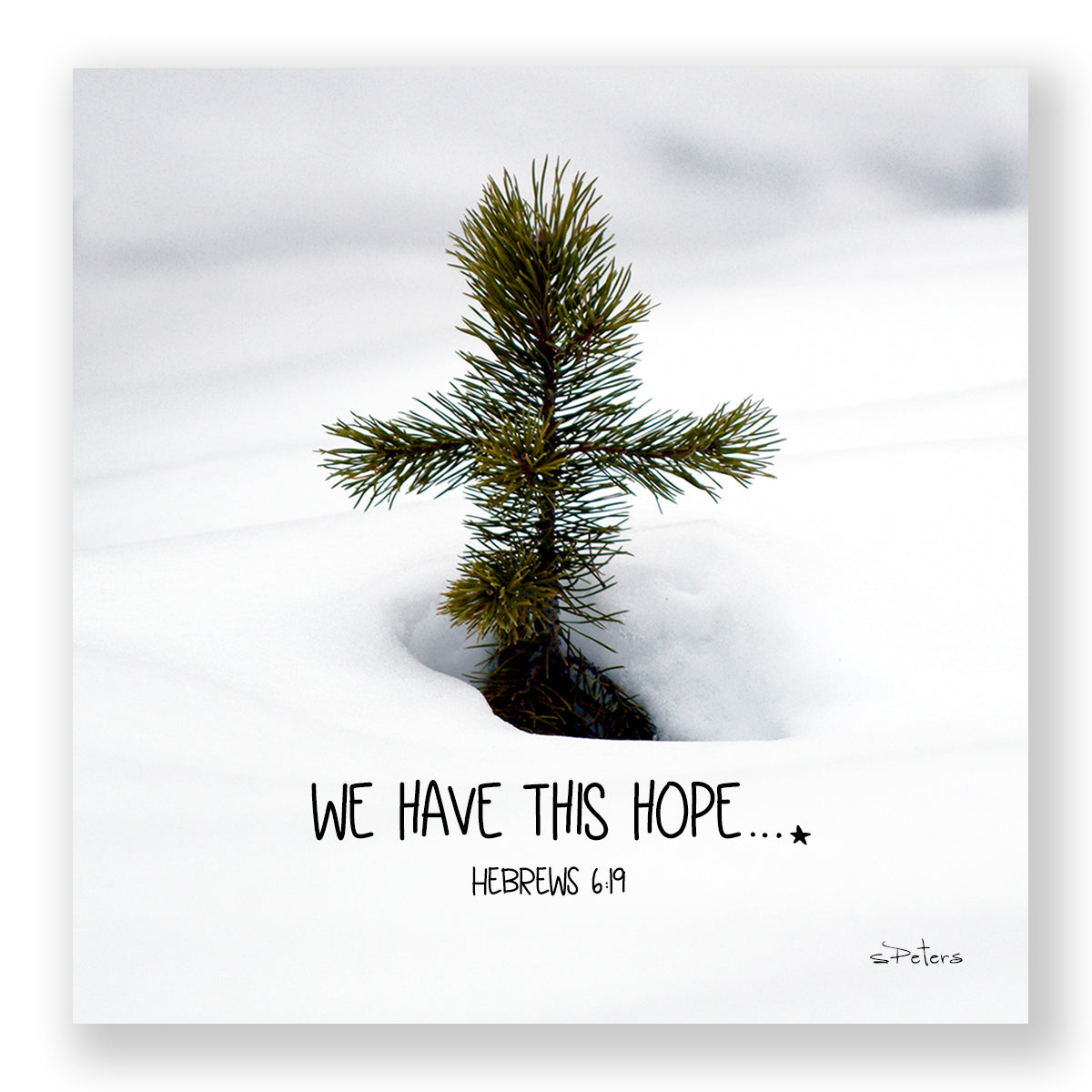 Pine Cross (Hebrews 6:19) - Mini Print