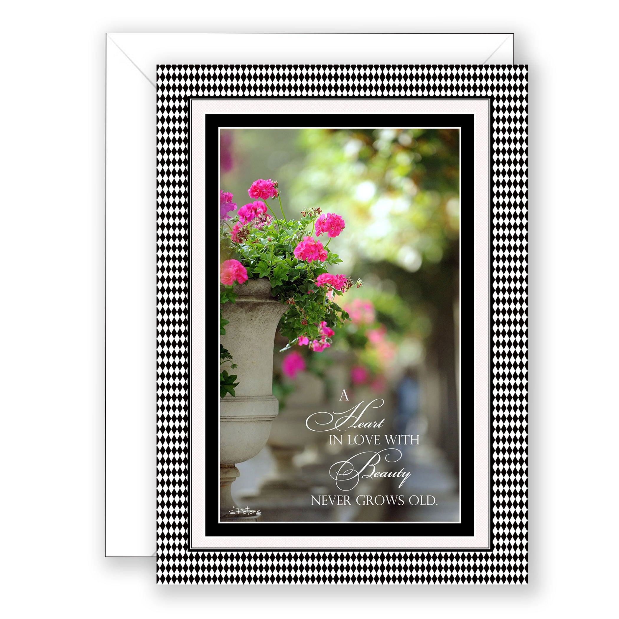 French Geraniums - Birthday Card