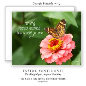 Birthday Blessings Boxed Notecard Collection