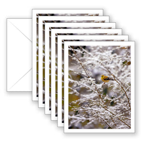 Missy's Yellow Bird Boxed Notecard Collection