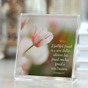 Painted Pink (Ecclesiasticus 6:14) - Framed Mini Print