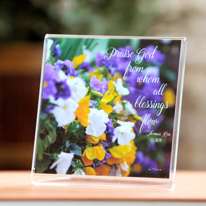 Pansies Overflowing - Framed Mini Print