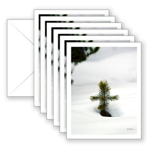 Pine Cross Boxed Notecard Collection