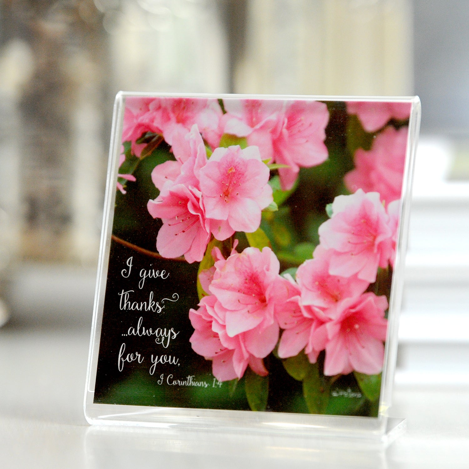 Pink Ruffles (1 Corinthians 1:4)- Framed Mini Print