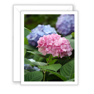 Rhena's Hydrangeas - Blank Art Card