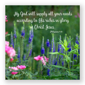 Salvia and Roses (Philippians 4:19) - Mini Print