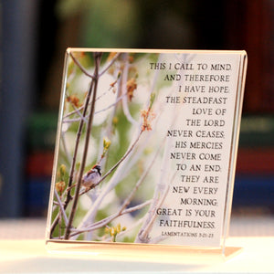 Spring Prayer (Lamentations 3:21-23) - Framed Mini Print