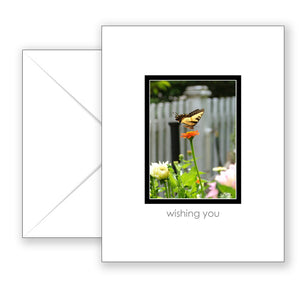 Summer Butterfly - Birthday Card